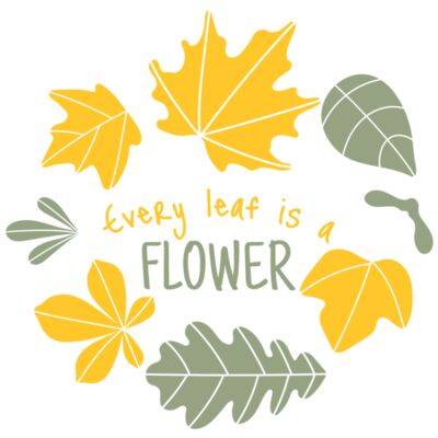 Fall Season 13 Thumbnail